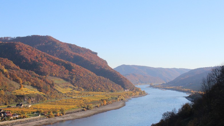 Die Donau in der Wachau - hier kann auch viel Wissen mitgenommen werden, zum Beispiel in einer Ausbildung